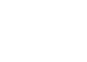 adidas2