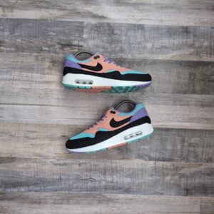 Nike Air Max 1 Have Day